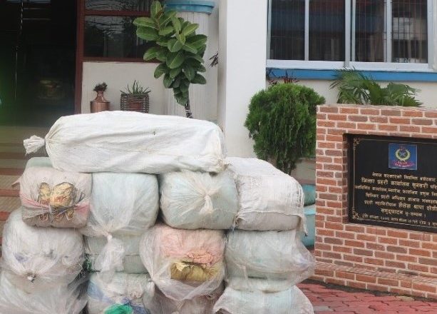 बिपतमा गाजाँ तस्करी, ५ सय ३७ केजी गाँजा सहित एक जना पक्राउ